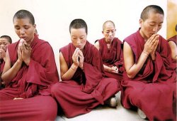 Monache tibetane